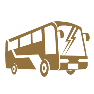 Bus Rental